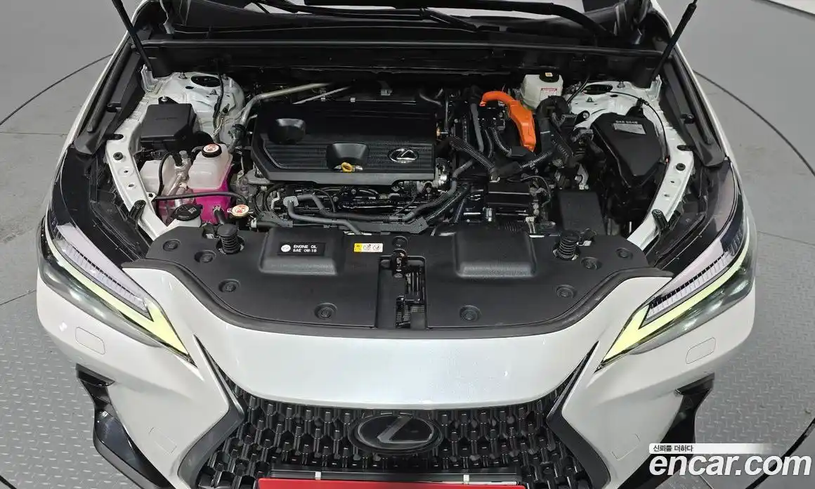 Lexus NX 2023 2.5 гидро, фото 6