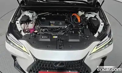 Lexus NX 2023 2.5 гидро, миниатюра 6