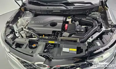 Renault QM6 2020 2.0 гидро, миниатюра 5