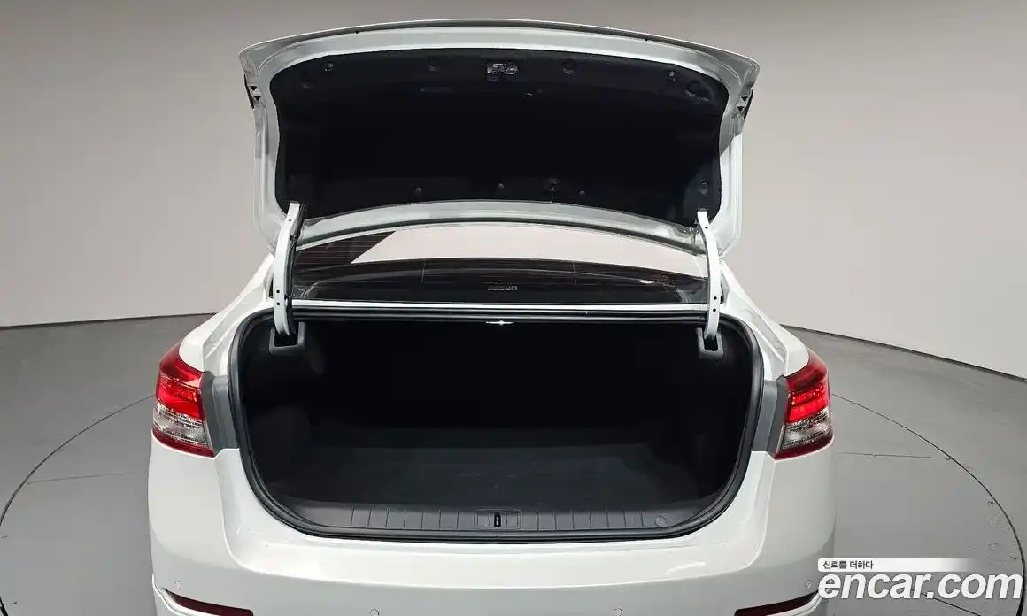 Renault SM5 2018 2.0 гидро, фото 33