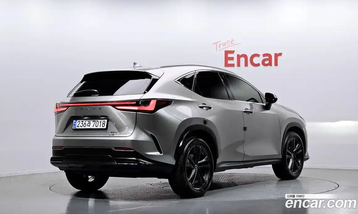 Lexus NX 2025 2.5 гидро, фото 2