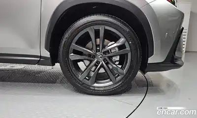 Lexus NX 2025 2.5 гидро, миниатюра 5