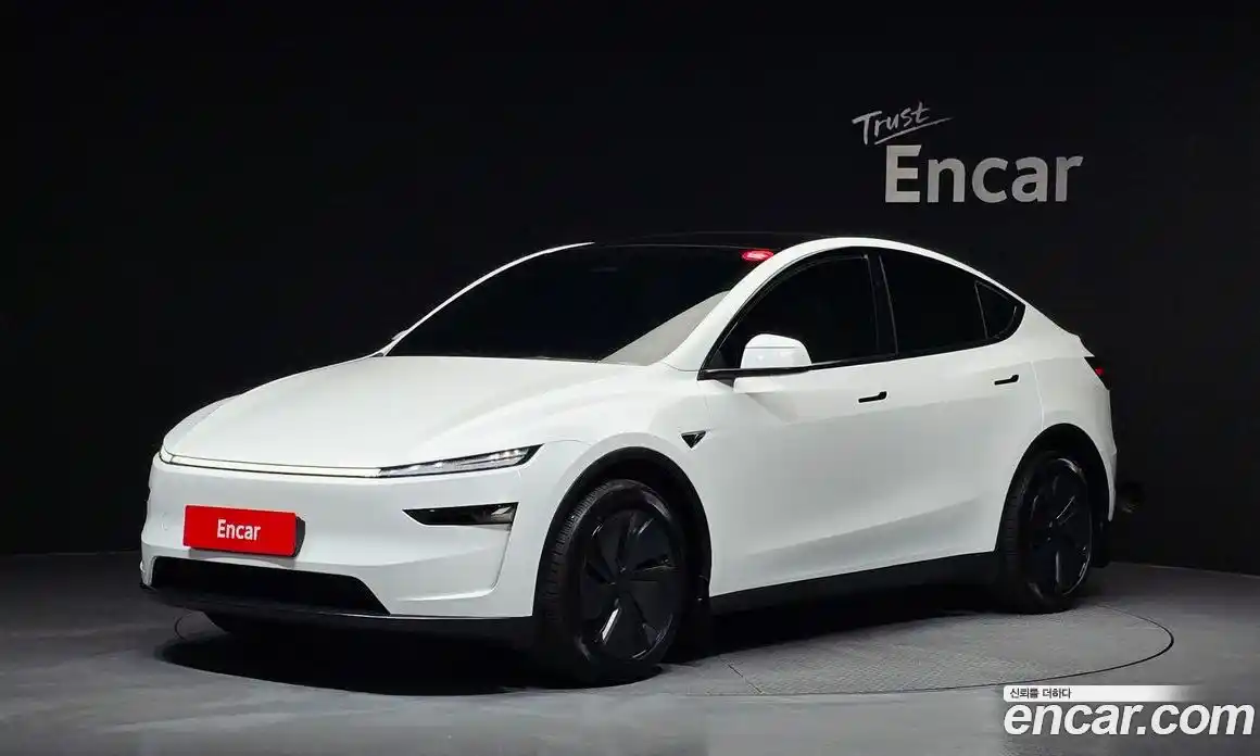 Tesla Model Y 2025 0.2 гидро, фото 1