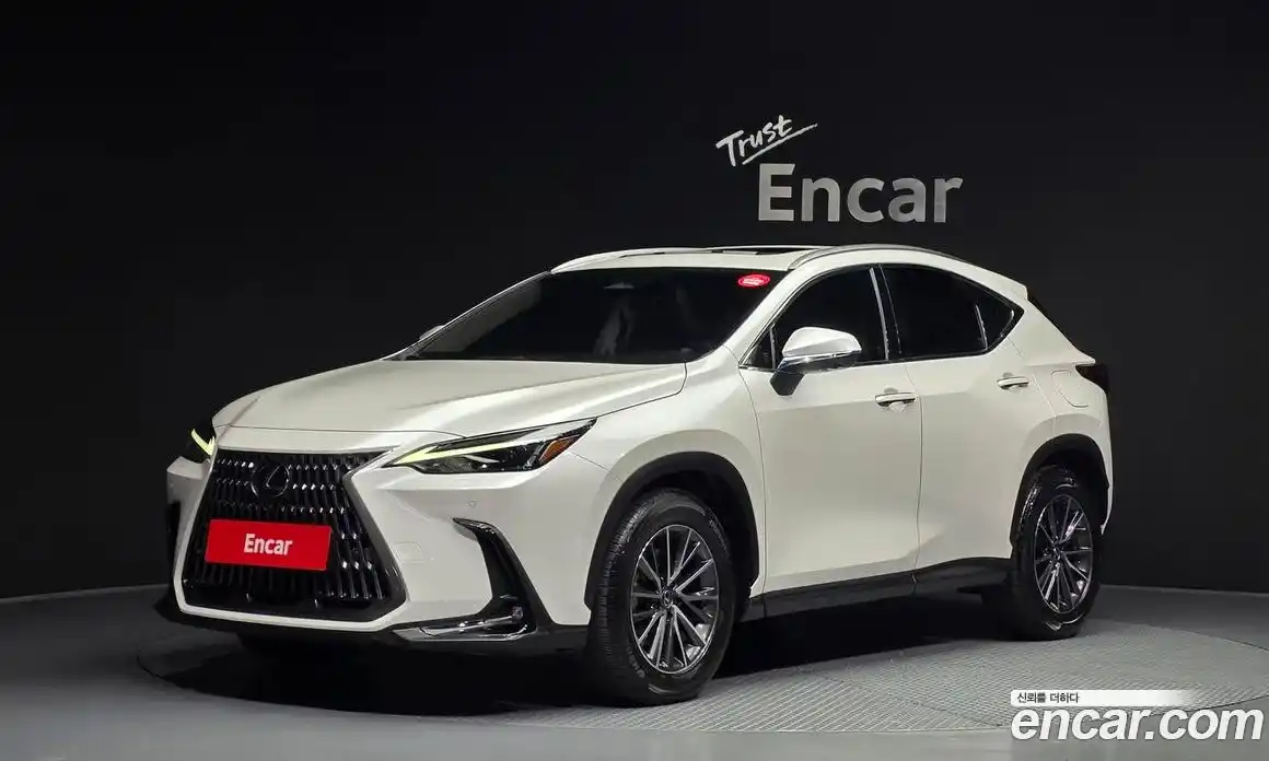 Lexus NX 2024 2.5 гидро, фото 1