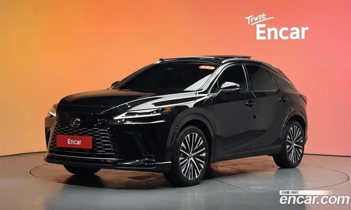 Lexus RX 2023 2.5 гидро, фото 35