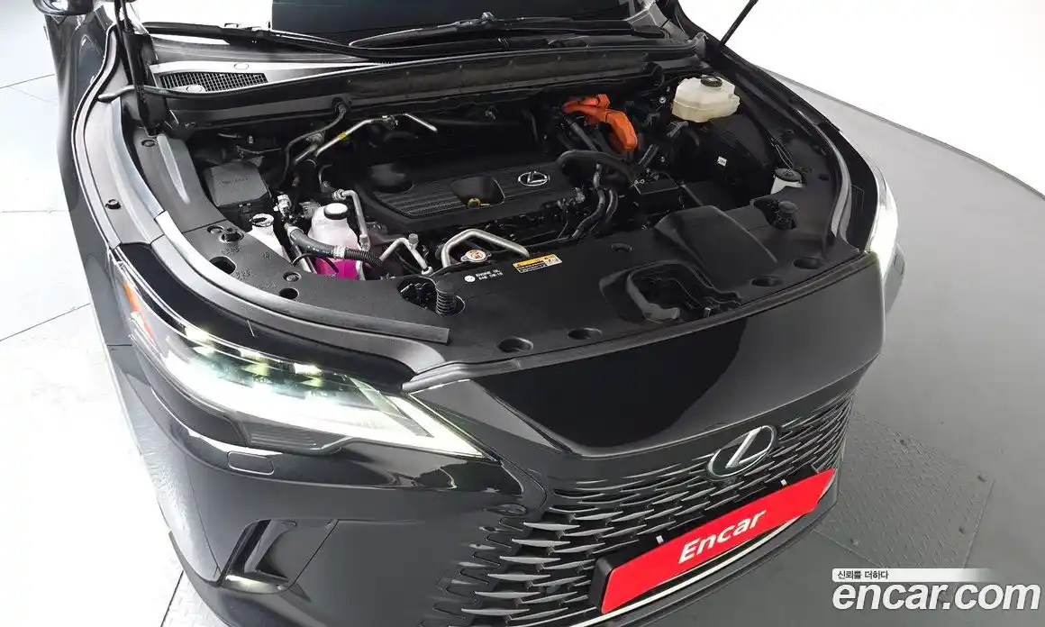 Lexus RX 2023 2.5 гидро, фото 5
