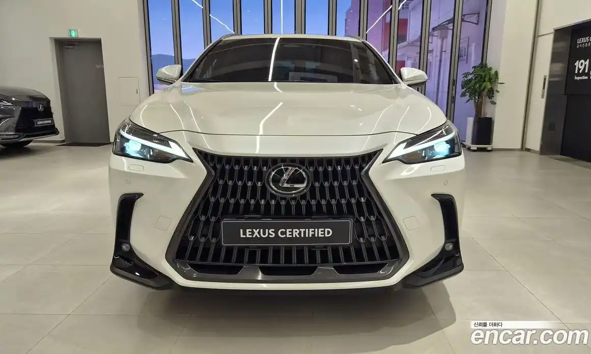 Lexus NX 2023 2.5 вариатор, фото 3