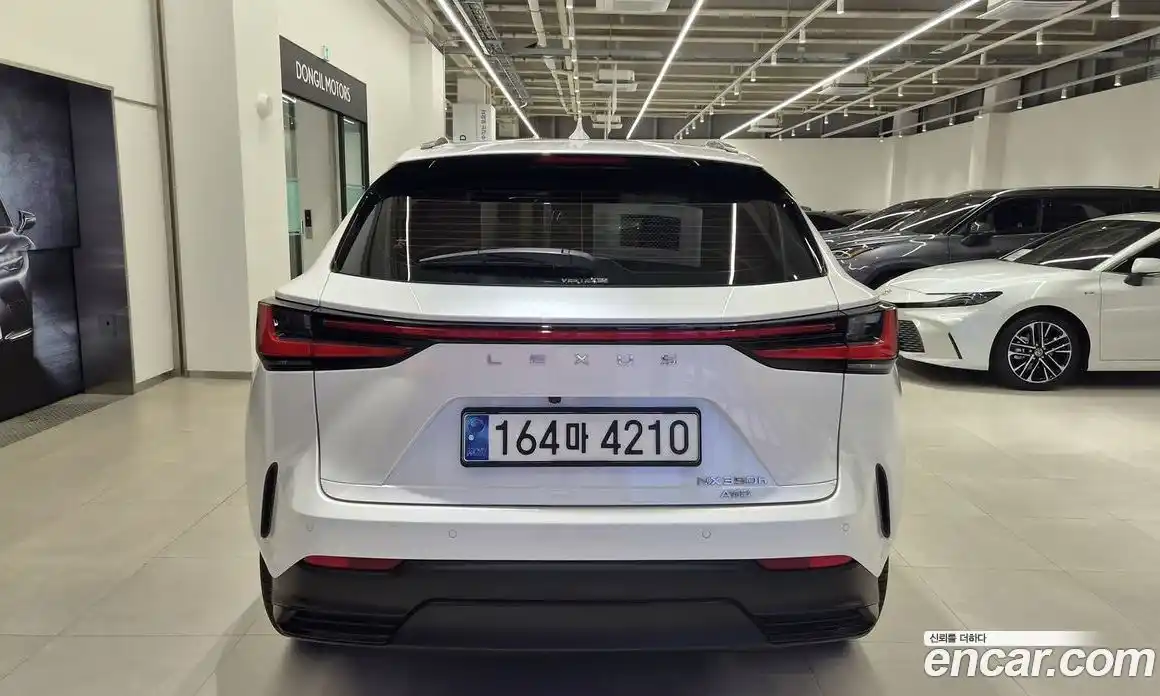 Lexus NX 2023 2.5 вариатор, фото 4