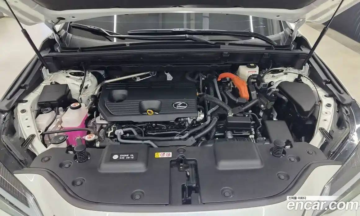 Lexus NX 2023 2.5 вариатор, фото 6