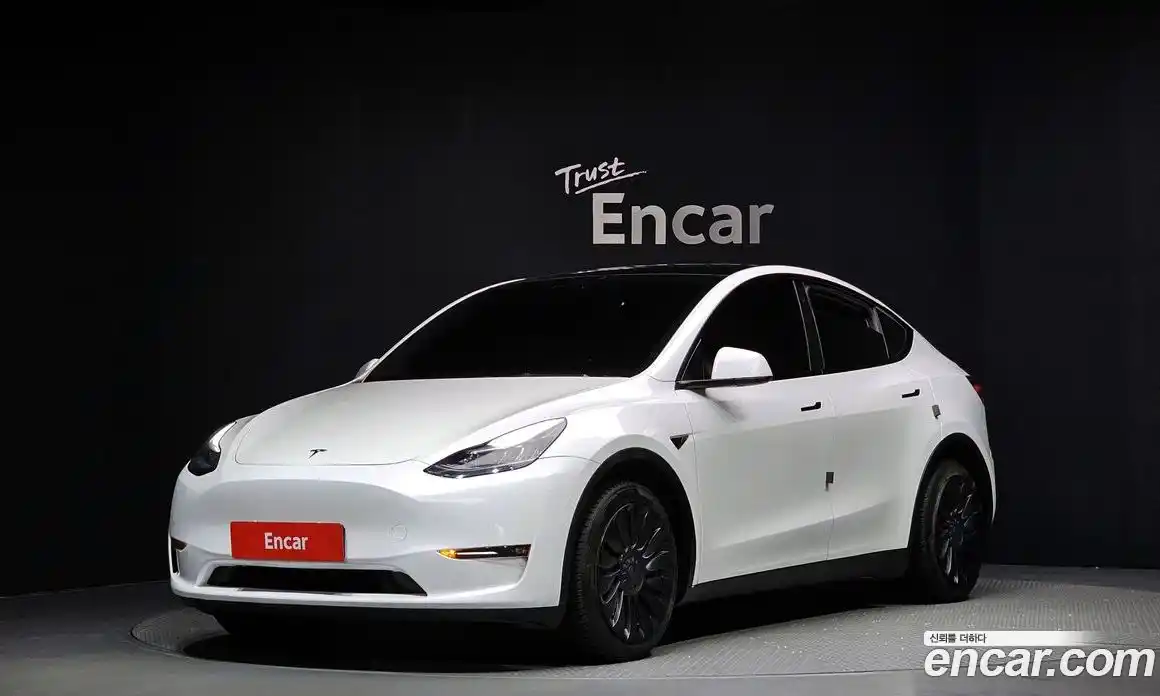 Tesla Model Y 2021 0.2 гидро, фото 1