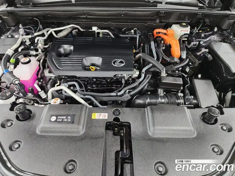 Lexus NX 2025 2.5 вариатор, фото 6
