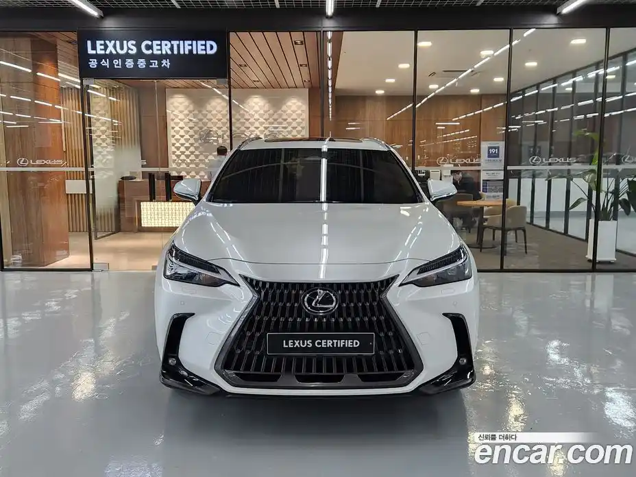 Lexus NX 2023 2.5 вариатор, фото 3