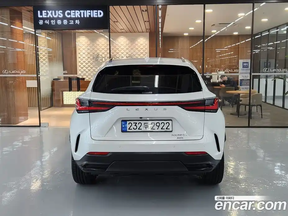 Lexus NX 2023 2.5 вариатор, фото 4