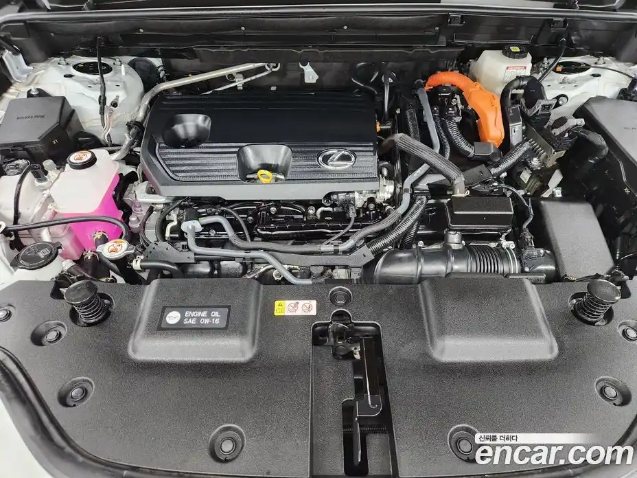 Lexus NX 2023 2.5 вариатор, фото 6