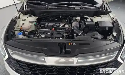 Kia Sportage 2021 1.6 автомат (гидро), миниатюра 5