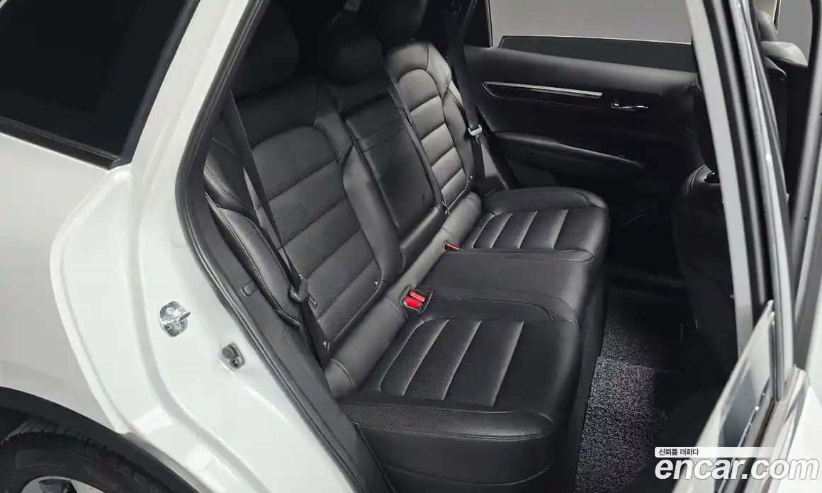 Renault QM6 2018 2.0 гидро, фото 16