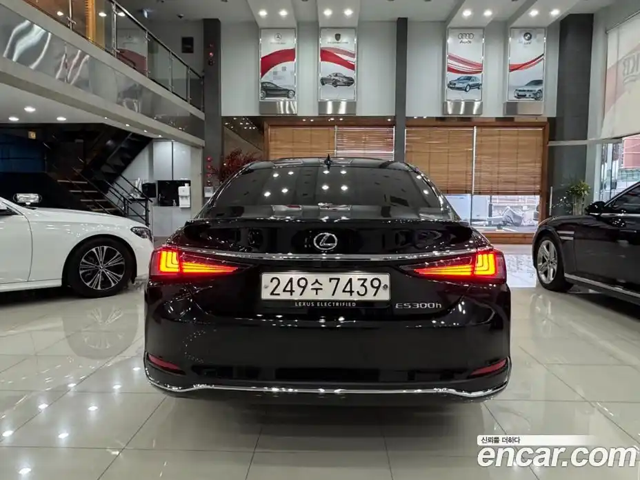 Lexus ES 2024 2.5 гидро, фото 4