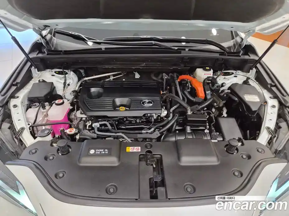 Lexus NX 2024 2.5 вариатор, фото 5