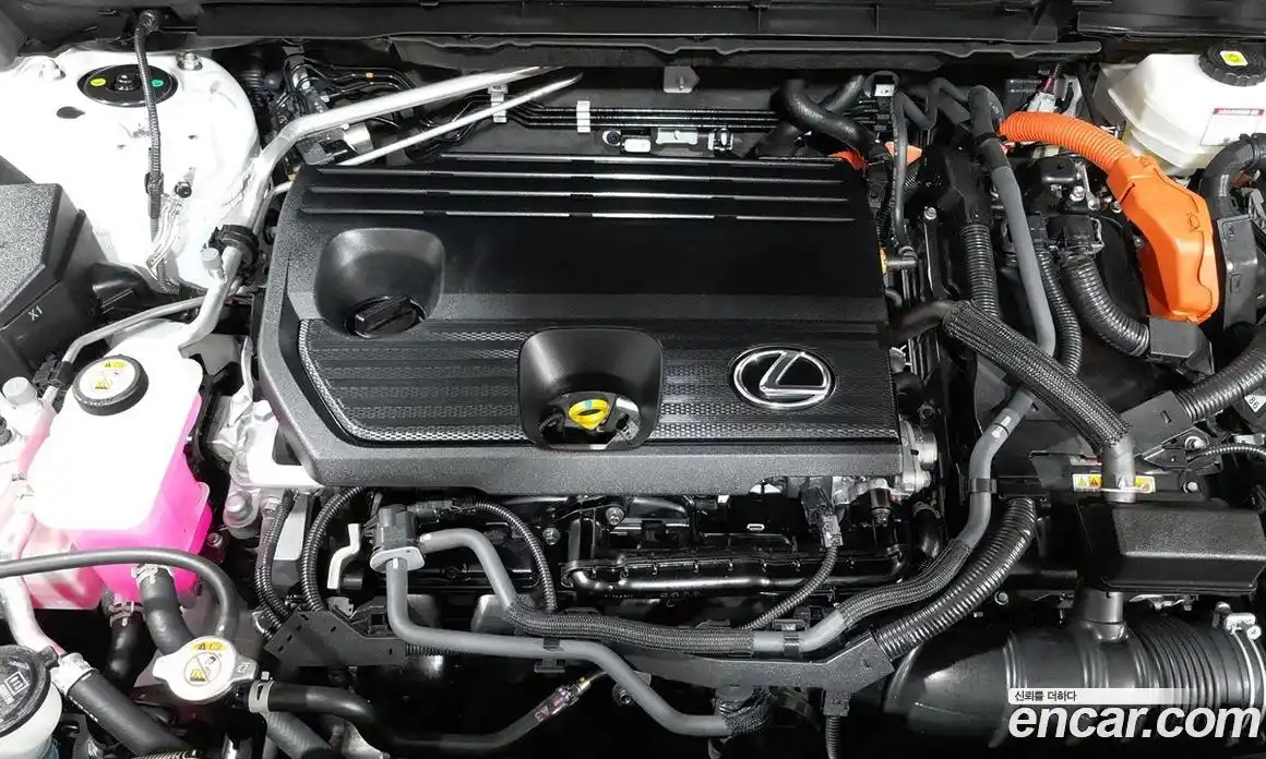 Lexus NX 2024 2.5 вариатор, фото 19