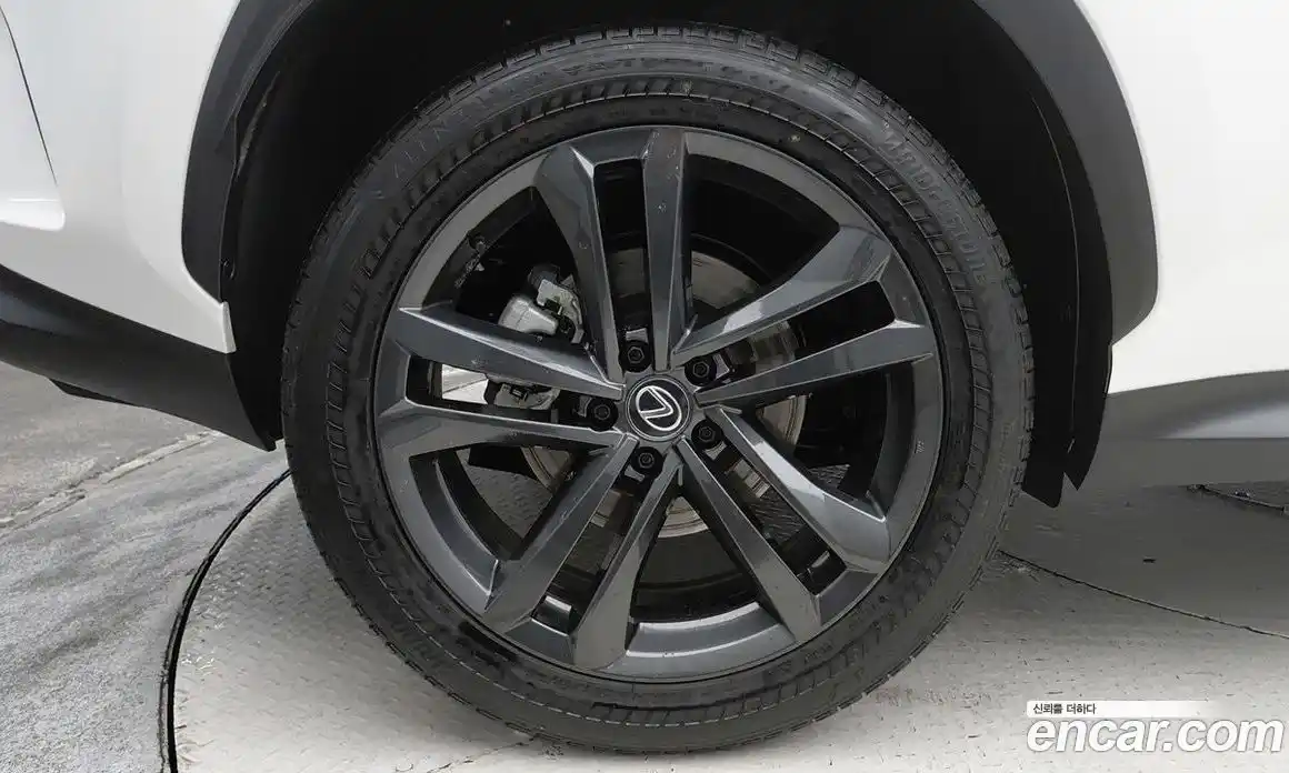 Lexus NX 2024 2.5 вариатор, фото 6