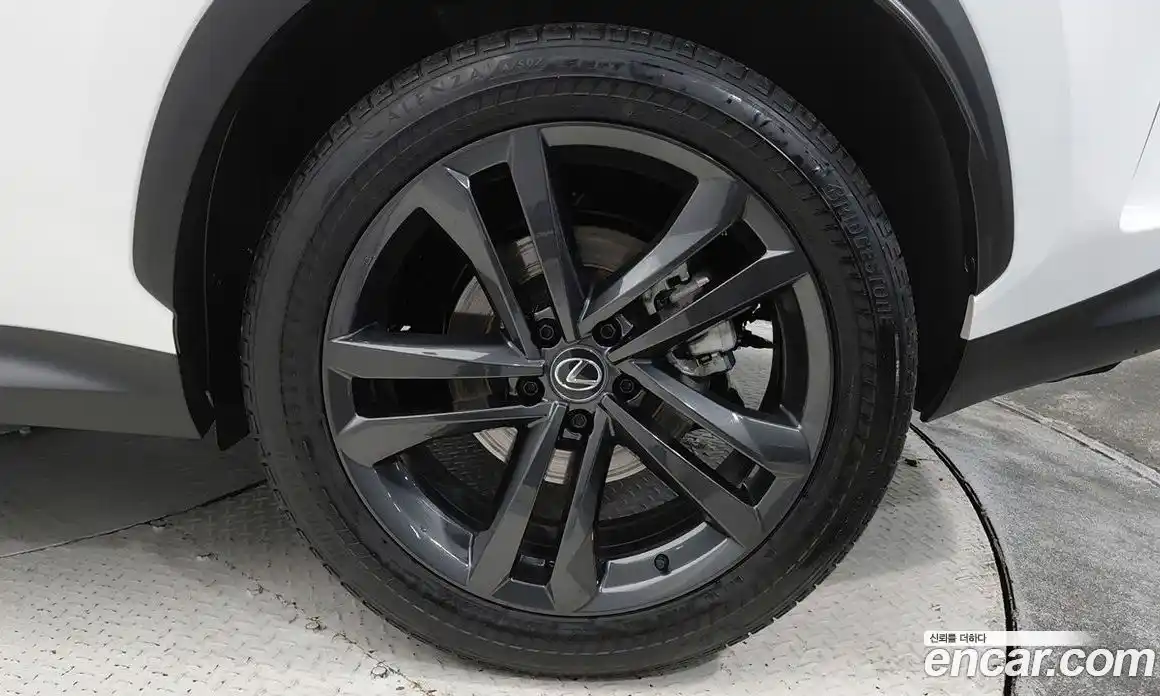 Lexus NX 2024 2.5 вариатор, фото 7