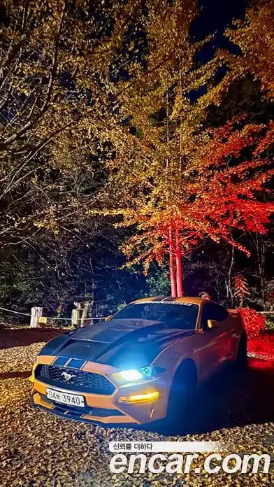 Ford Mustang, 2018, 179 948 км