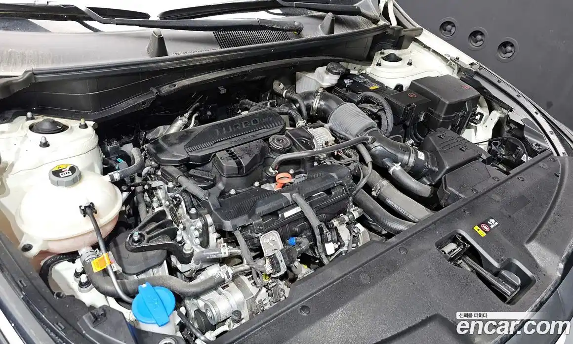 Kia Sportage 2022 1.6 автомат (гидро), фото 6