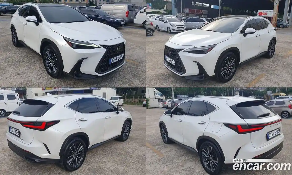 Lexus NX 2023 2.5 гидро, фото 15