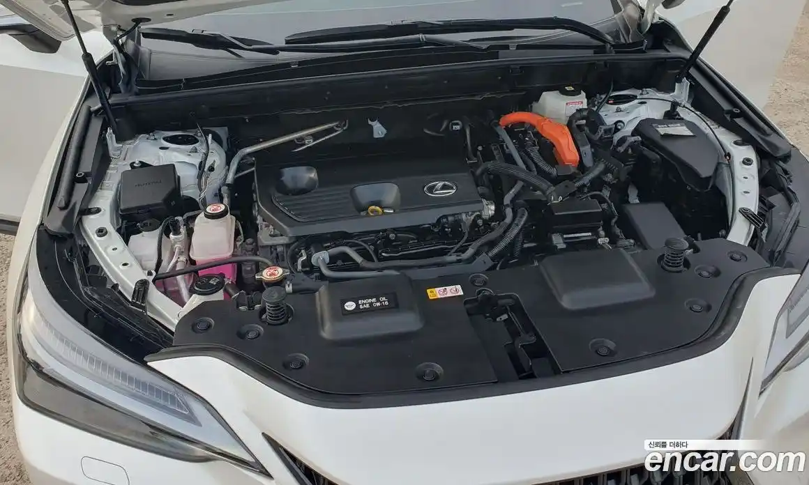 Lexus NX 2023 2.5 гидро, фото 17