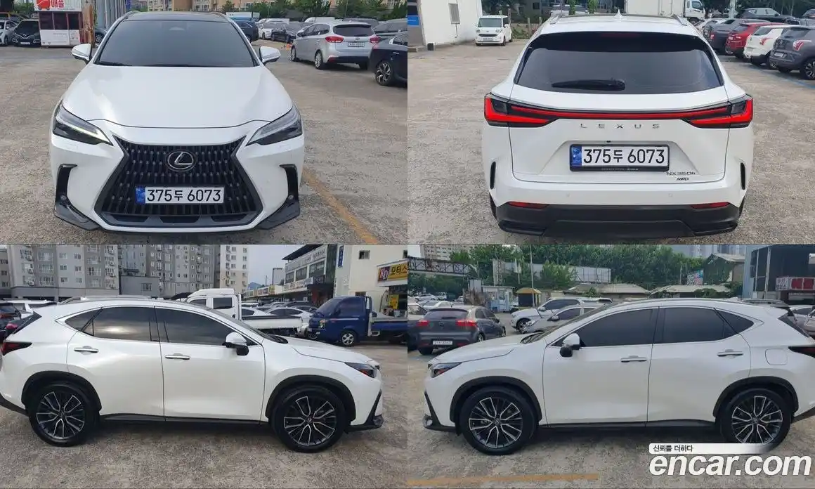 Lexus NX 2023 2.5 гидро, фото 3