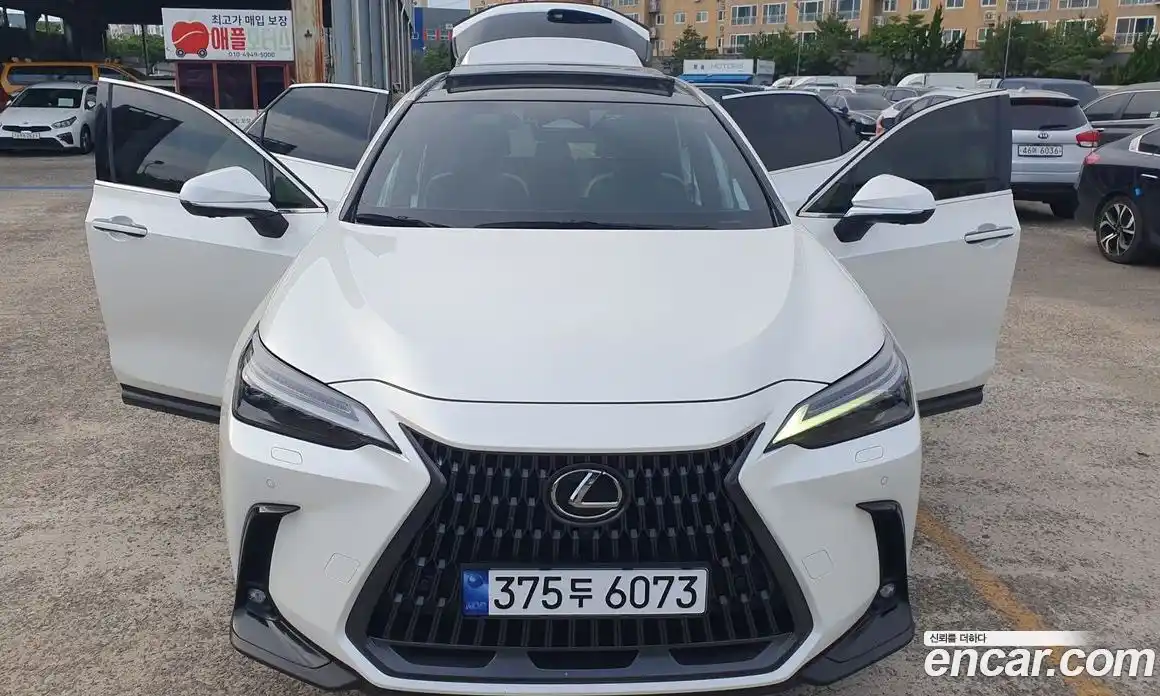 Lexus NX 2023 2.5 гидро, фото 8