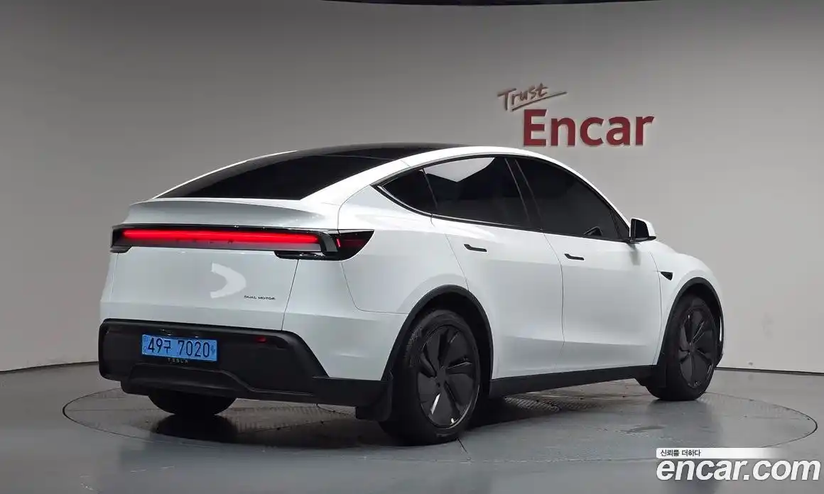 Tesla Model Y 2025 0.2 гидро, фото 1