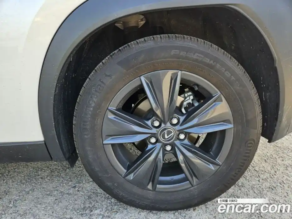 Lexus UX 2025 2.0 гидро, фото 5