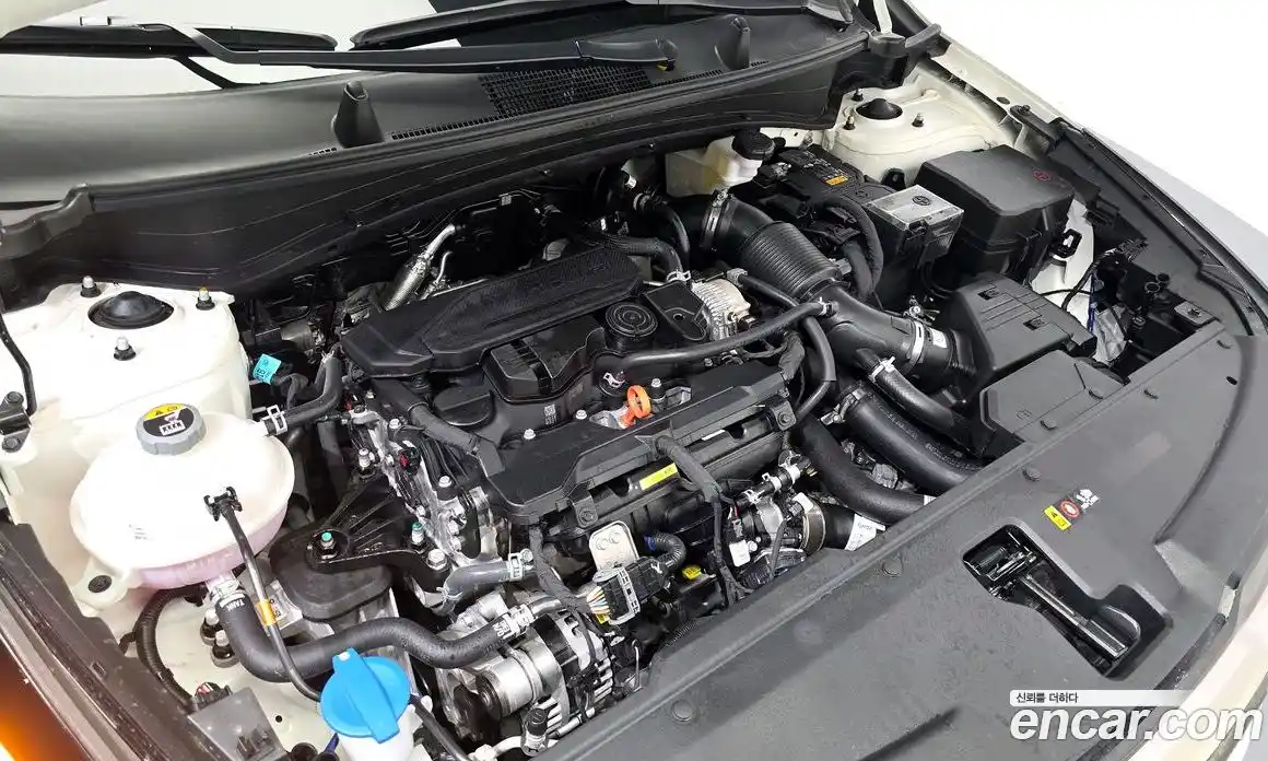 Kia Sportage 2025 1.6 автомат (гидро), фото 6