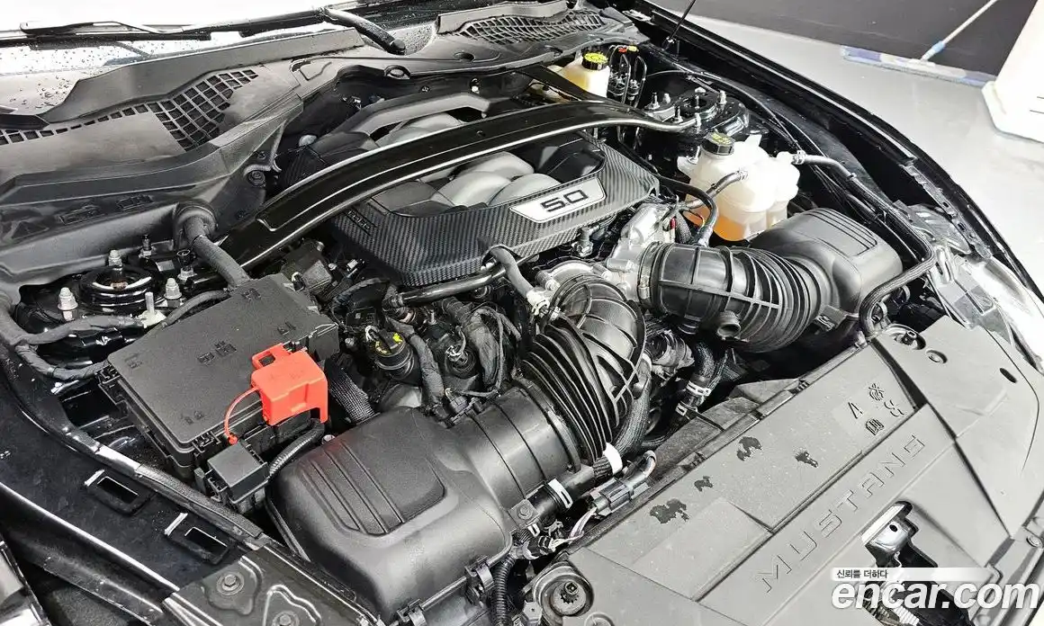 Ford Mustang 2024 5.0 автомат (гидро), фото 6