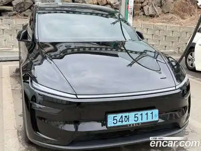 Tesla Model Y 2025 гидро, миниатюра 2