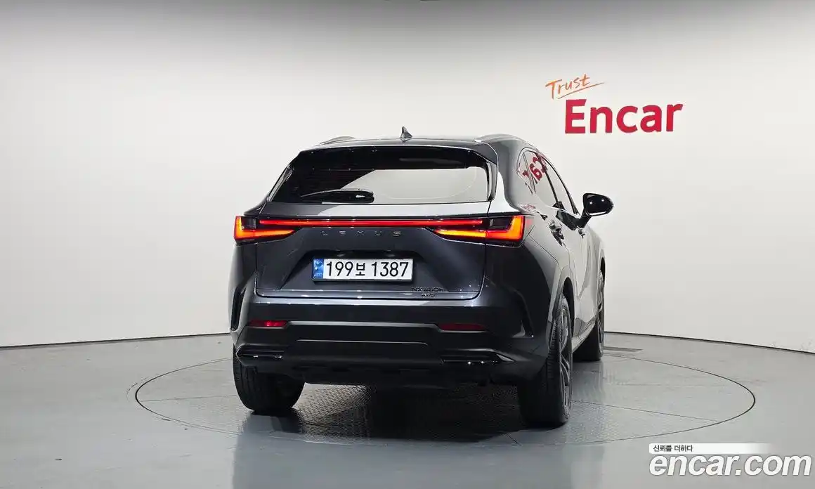 Lexus NX 2024 2.5 гидро, фото 4