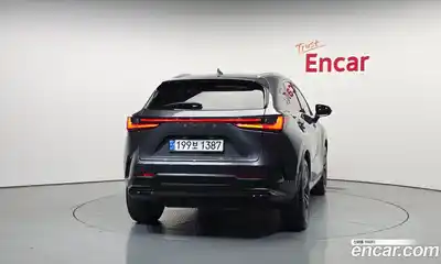 Lexus NX 2024 2.5 гидро, миниатюра 4