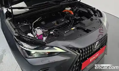 Lexus NX 2024 2.5 гидро, миниатюра 6