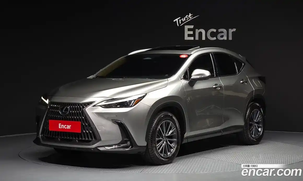 Lexus NX 2023 2.5 гидро, фото 1