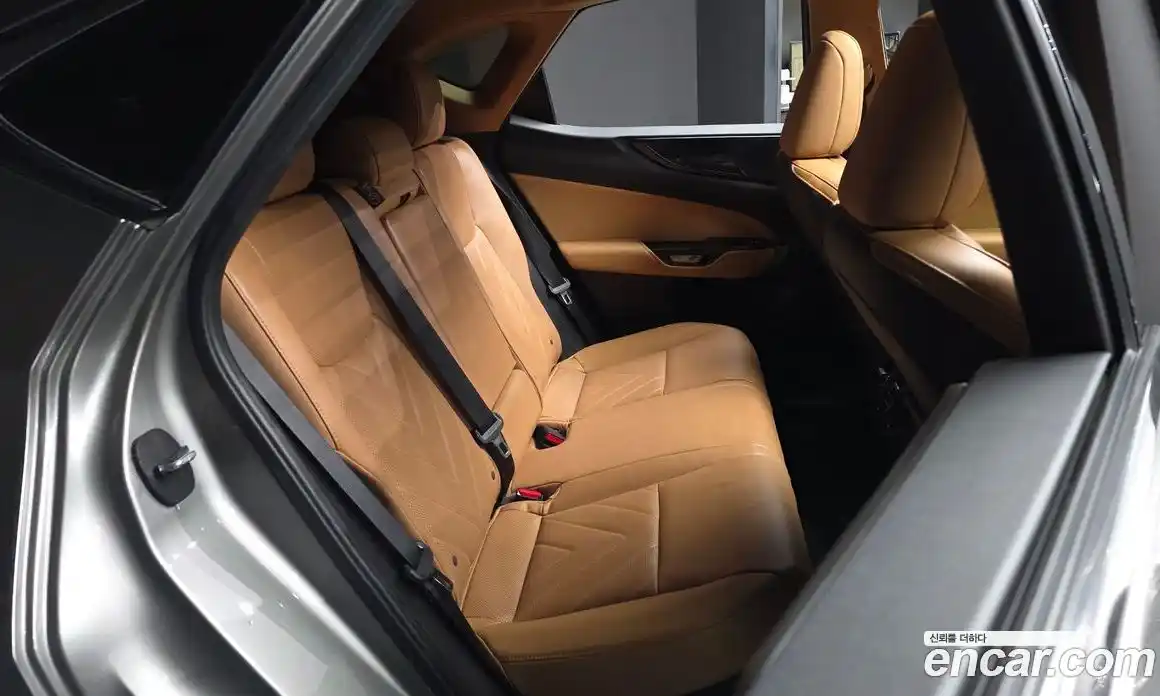 Lexus NX 2023 2.5 гидро, фото 12