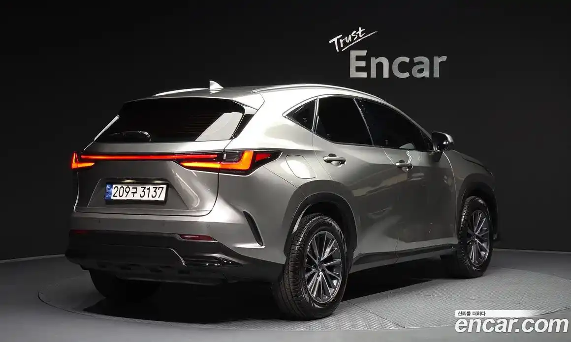 Lexus NX 2023 2.5 гидро, фото 2