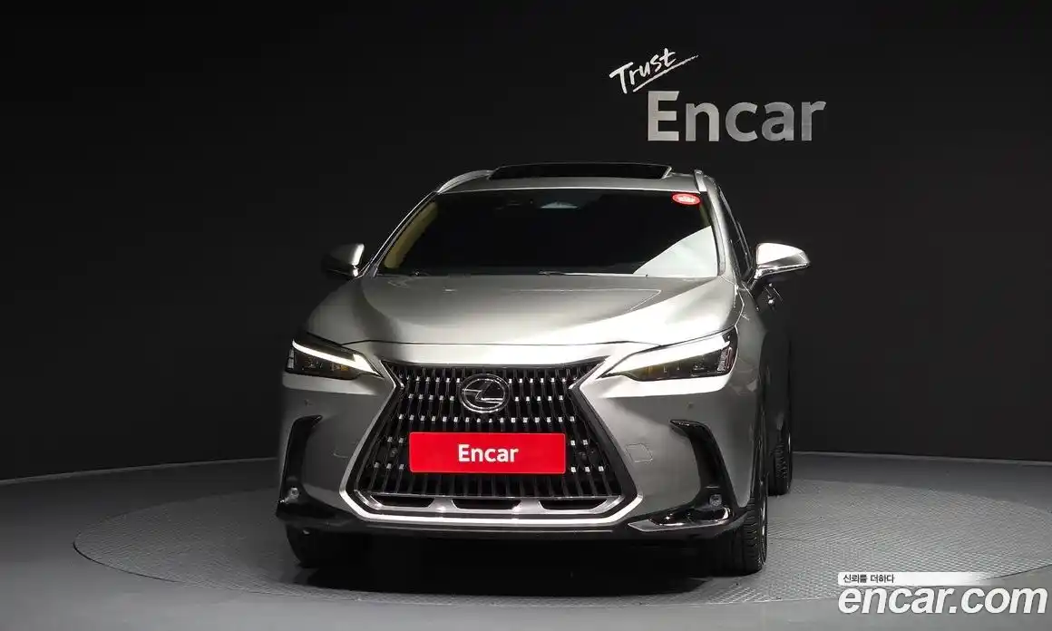 Lexus NX 2023 2.5 гидро, фото 3