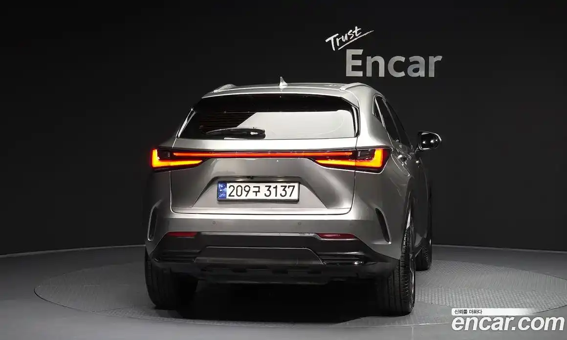Lexus NX 2023 2.5 гидро, фото 4
