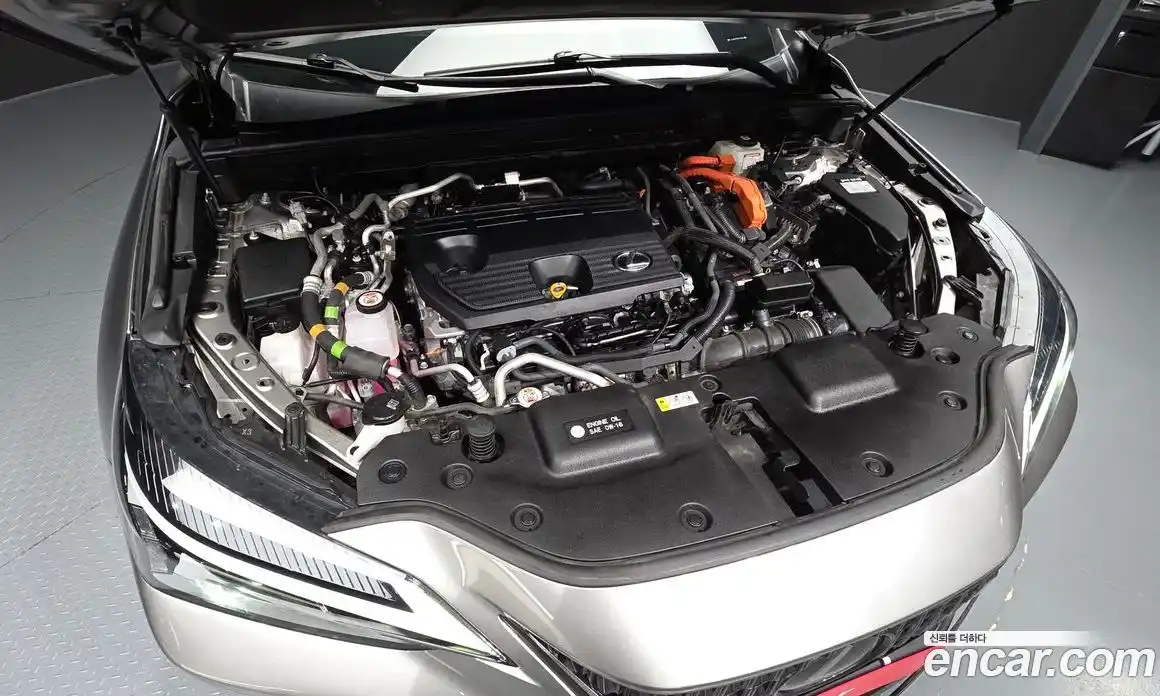 Lexus NX 2023 2.5 гидро, фото 6