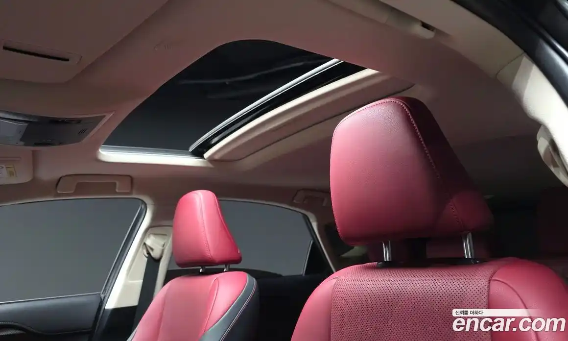 Lexus NX 2021 2.5 гидро, фото 23