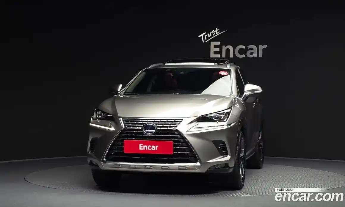 Lexus NX 2021 2.5 гидро, фото 3
