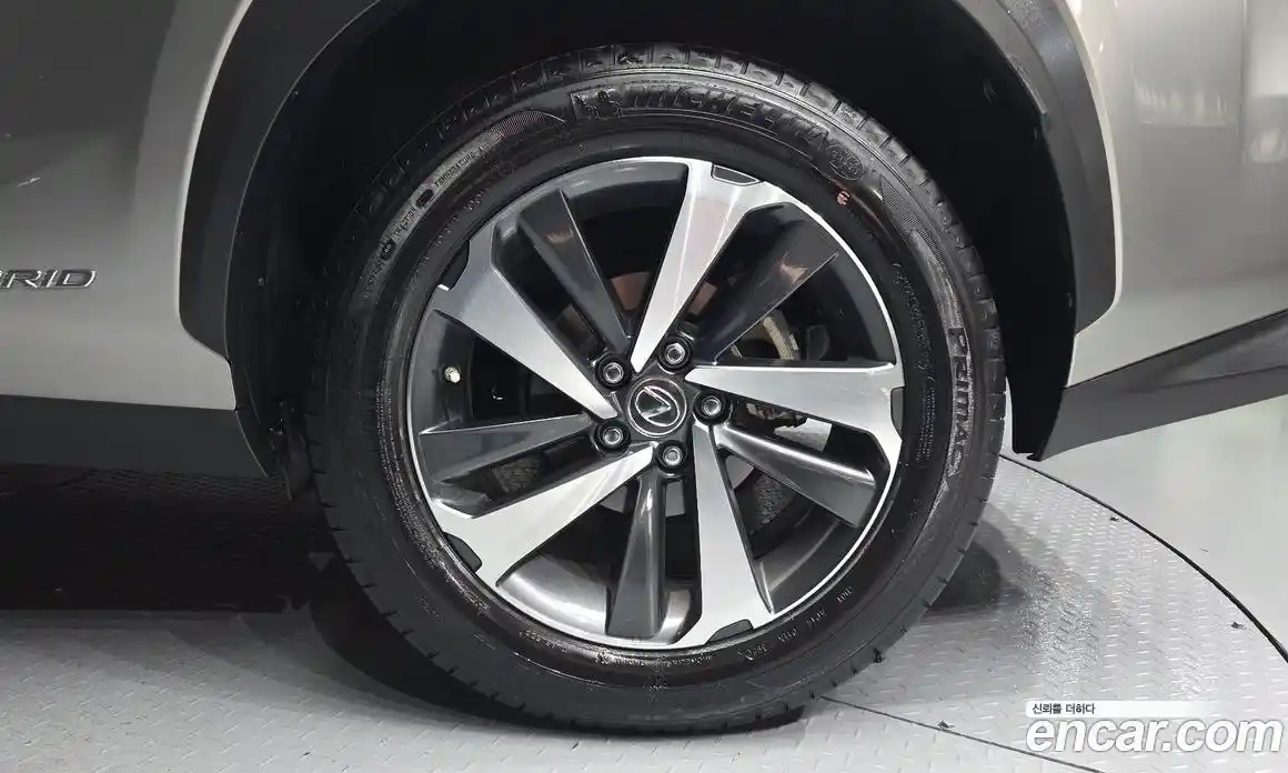 Lexus NX 2021 2.5 гидро, фото 5