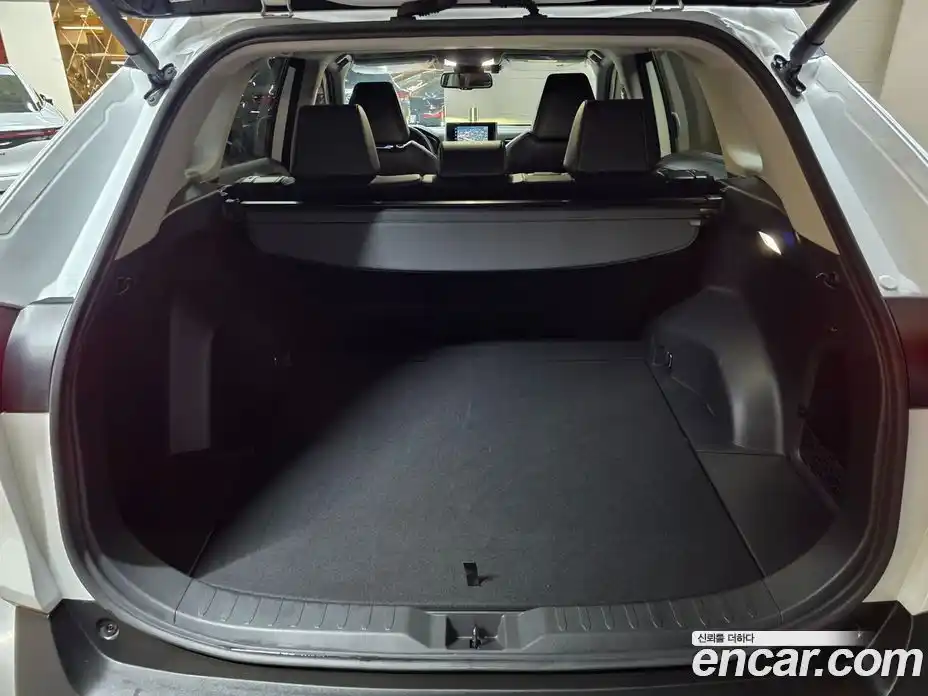 Toyota RAV4 2024 2.5 гидро, фото 16