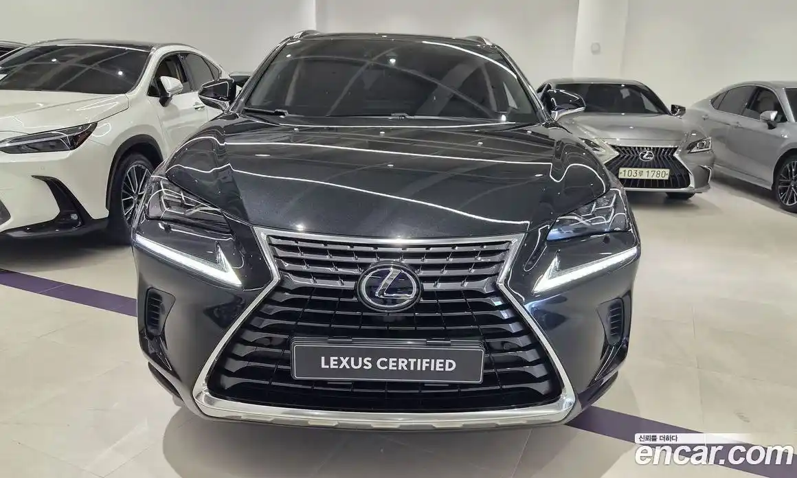 Lexus NX 2021 2.5 вариатор, фото 3